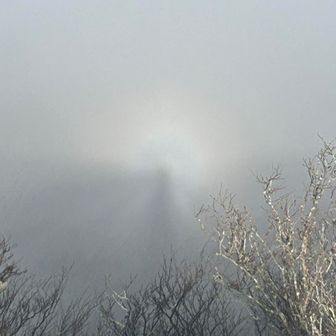 山好きとんかつや