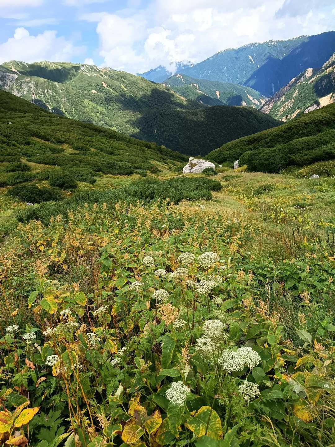 双六岳-丸山-三俣蓮華岳-鷲羽岳 周回コースの写真