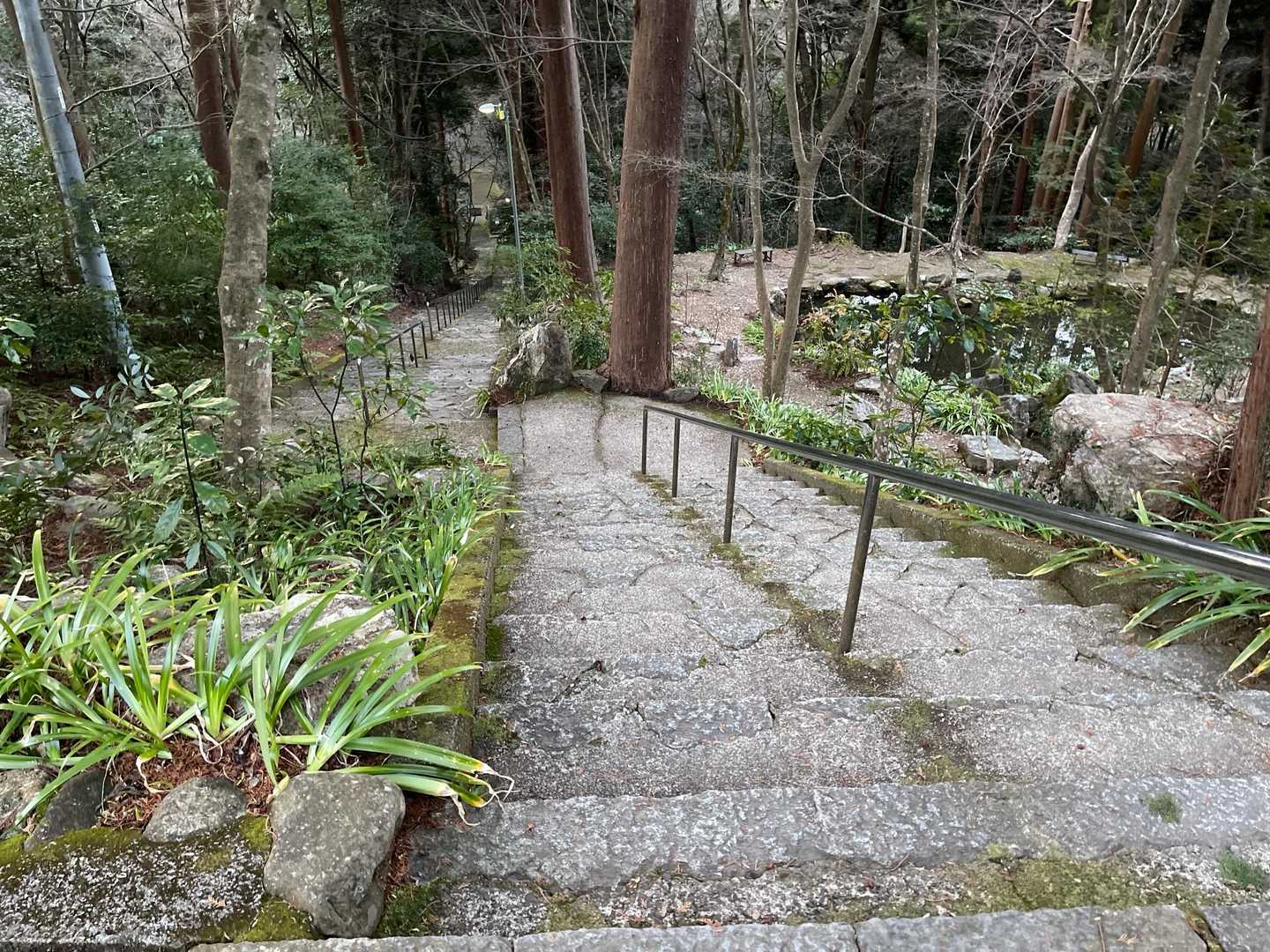 天王山-白山-誕生山 往復コースの写真