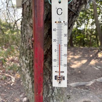物見山⛰️にて。
あたたかくなりましたね。