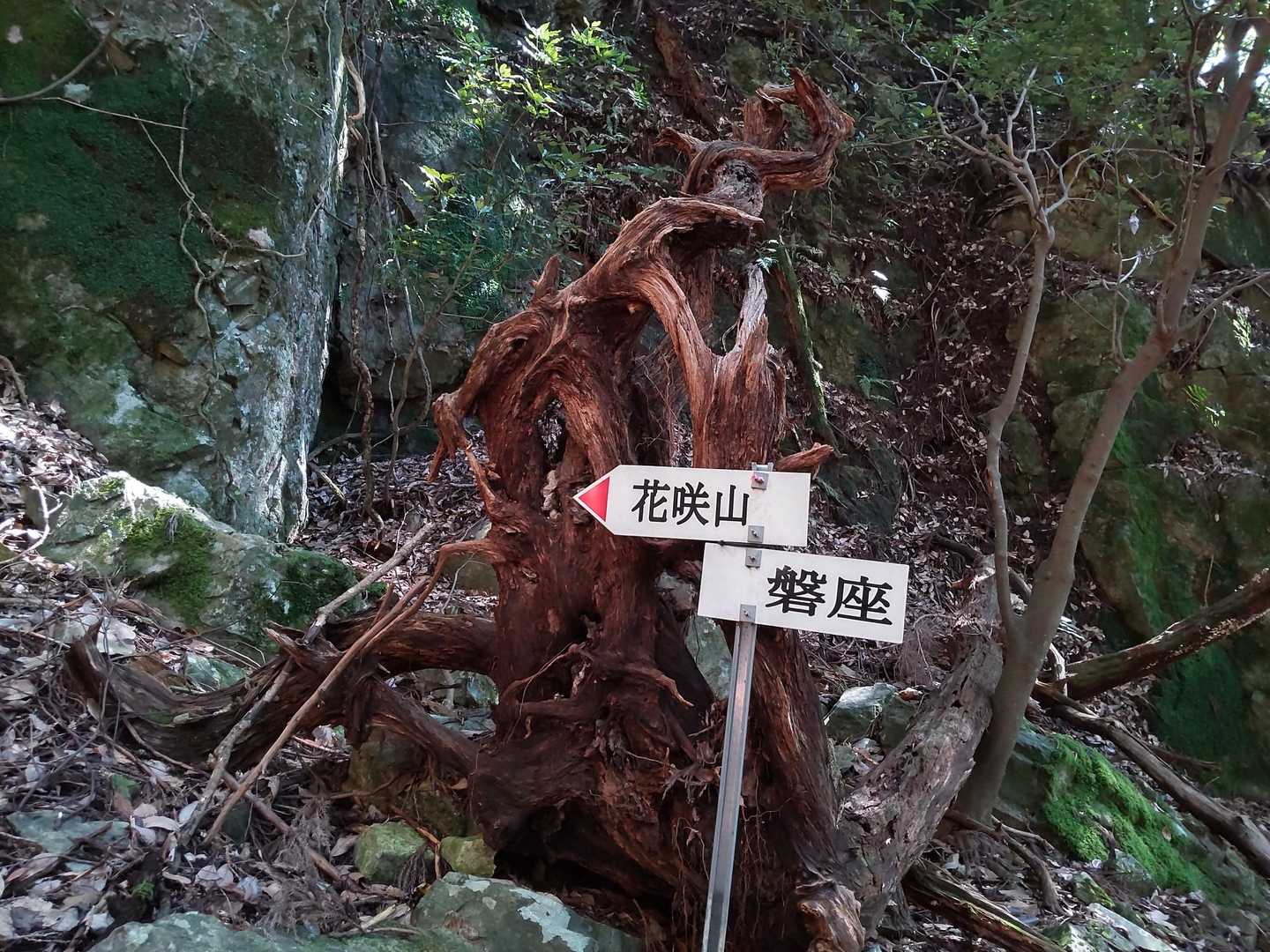 確認したかった磐座！