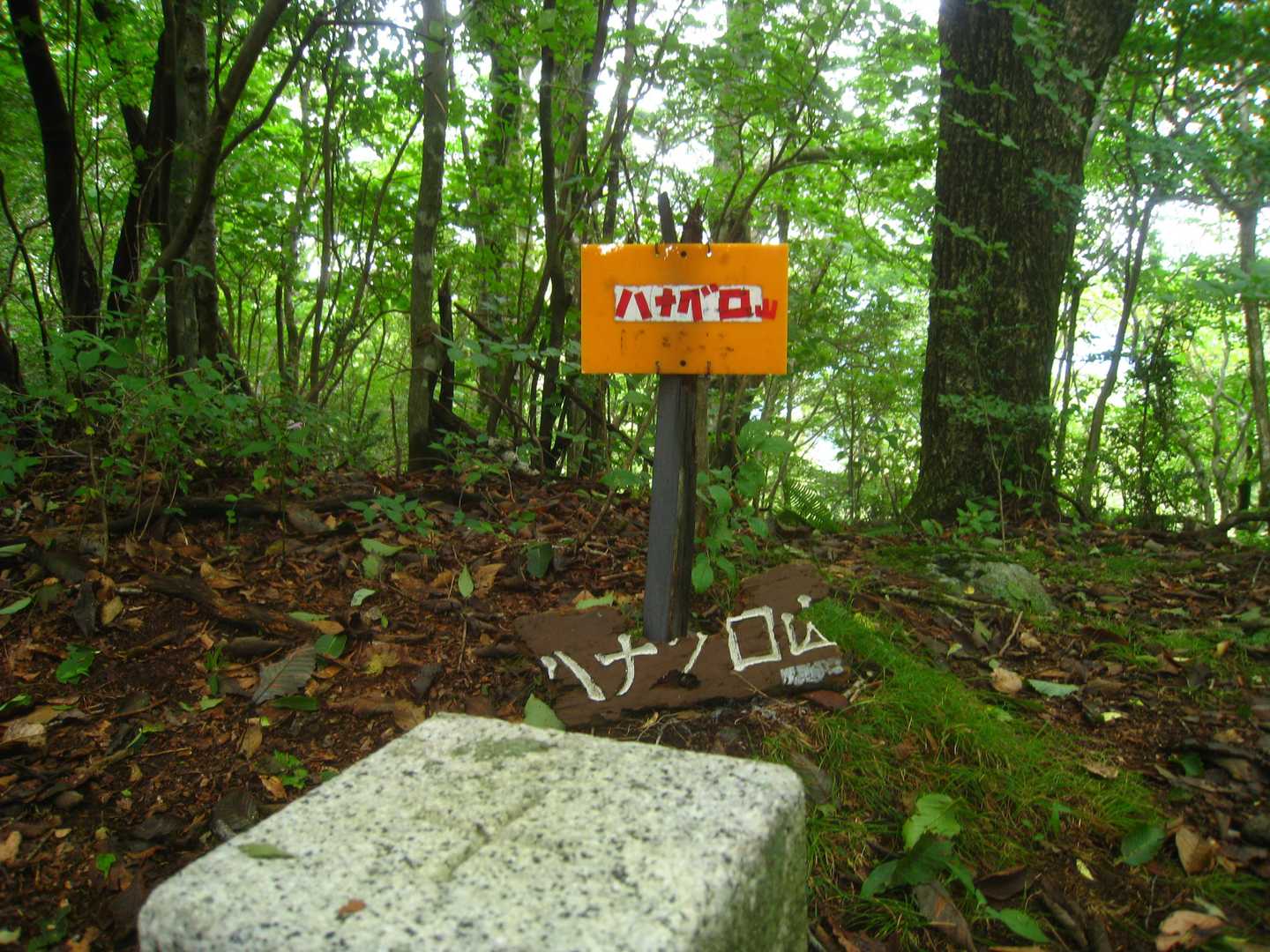 ハナグロ山 山頂到着です。
眺望はありません。