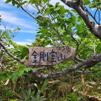 金剛堂山の最高峰
中金剛 1,650m 登頂 🙌
今日の目的の 2つめ達成✌️
欲を言えば奥金剛だったけど暑熱順化できてないので中金剛でヨシ👍️