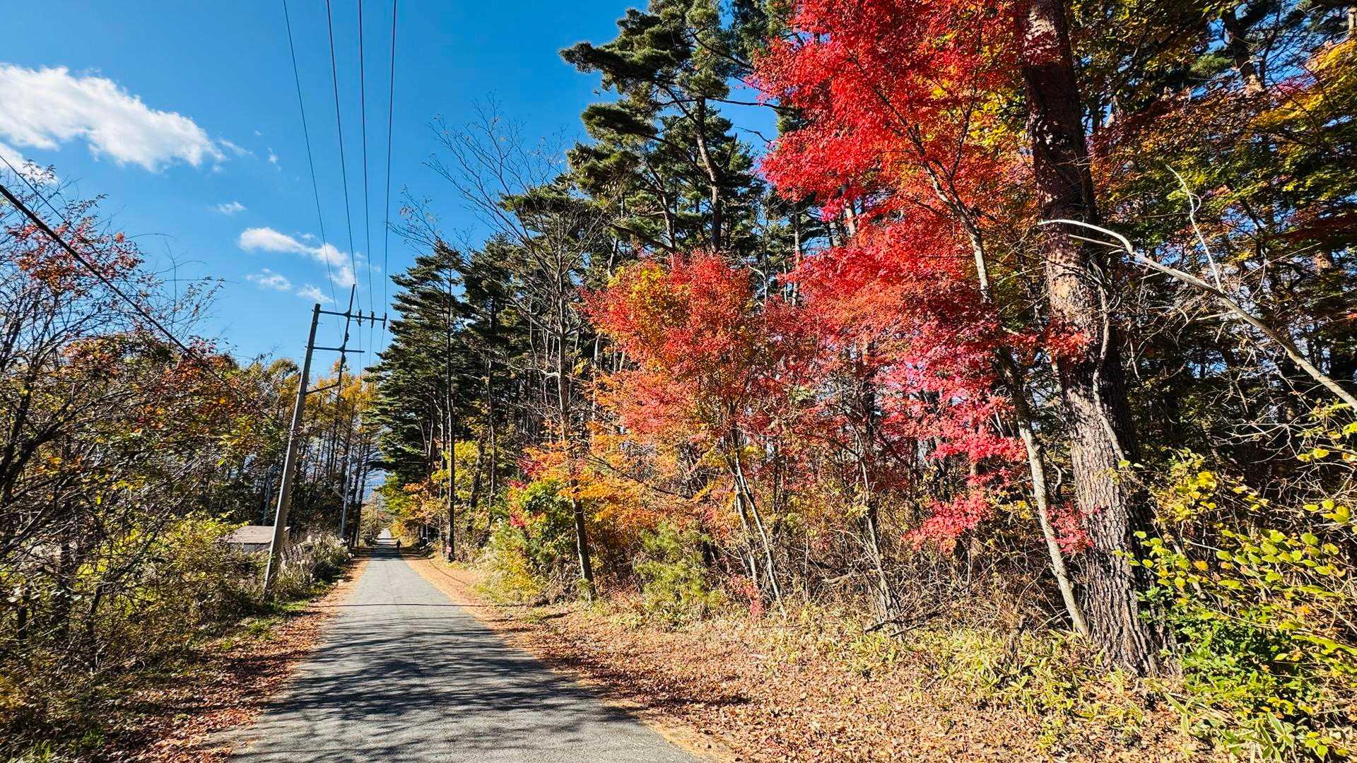 深田公園入口-茅ヶ岳-金ヶ岳-茅ヶ岳登山道入口 縦走コースの写真