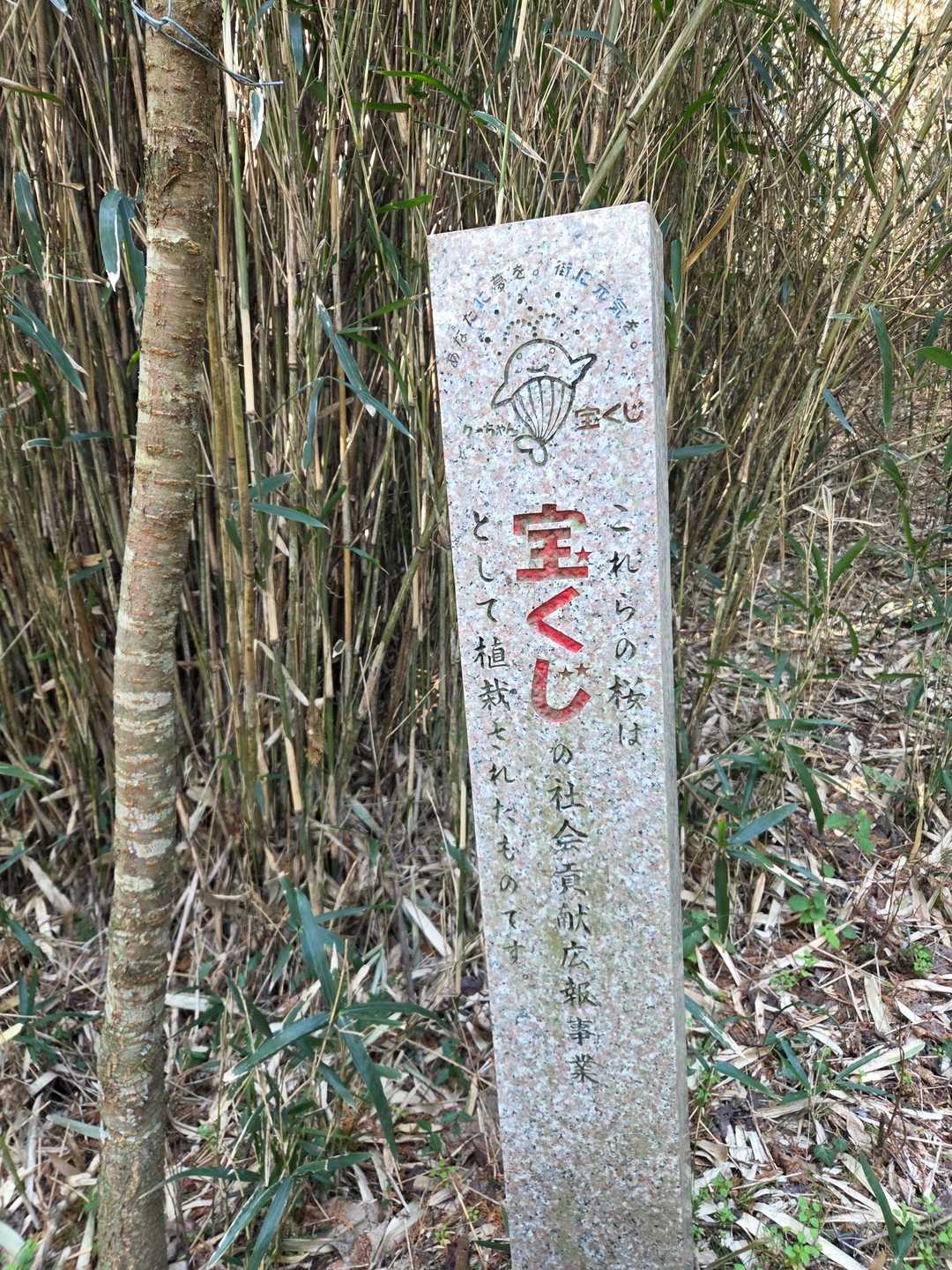寄付したかいがありました🤣
そうか桜の木になったのかー
