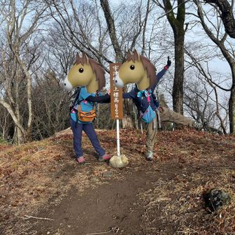 キャッキャしてたら
見かねた方が撮ってくれました。。