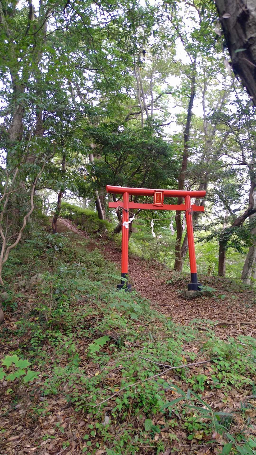 神社がありました