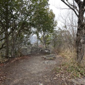 ちょっとしたピーク