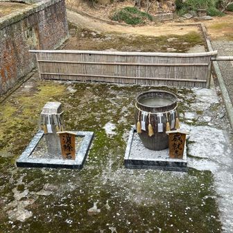 ちゃんと右のツボに入れました。願いが叶うかなー