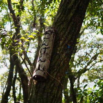 クジラ岩からすぐに権現山山頂