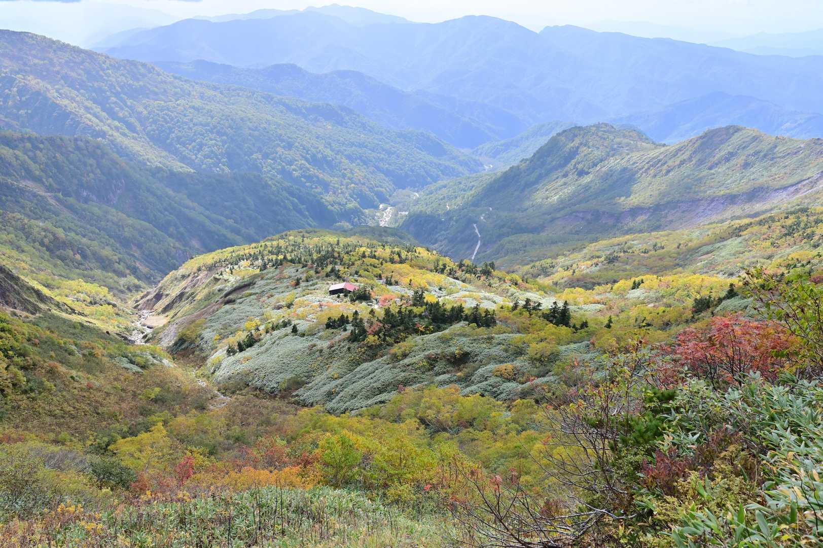 砂防新道コース | 夏には高山植物が咲き乱れる、信仰の歴史を宿す美しき霊山への写真