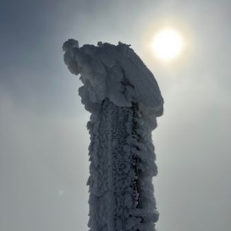 神様🌟
ご褒美🌟くれまくり🤭
（山頂標識🪧です）こんなに、なっています…