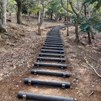 良く整備されたハイキングロードは有り難い😭