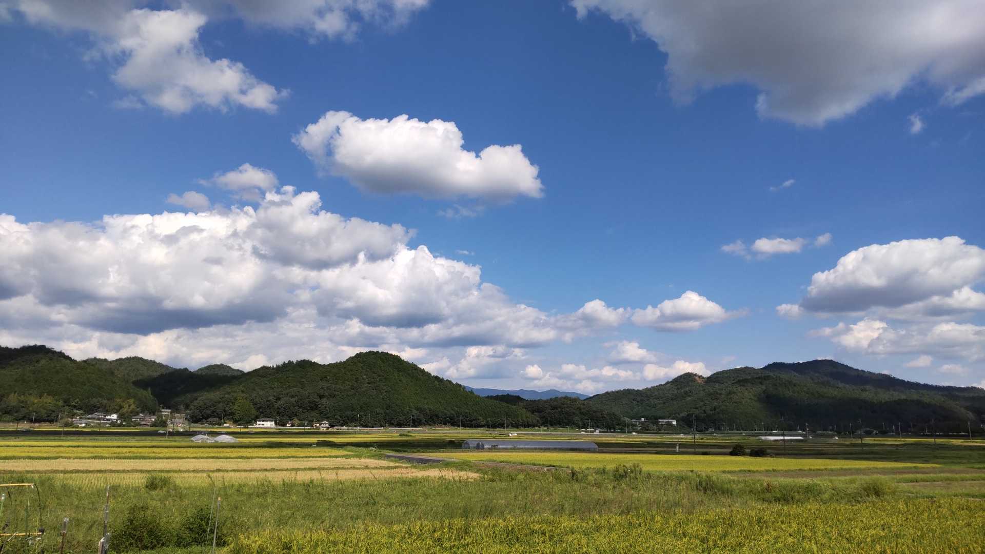 青い空に白い雲、緑の山。
いつまでも大事にしたい風景😃

本日もありがとうございました♫