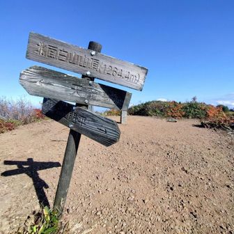 山頂は思ったよりも広かった
ここでは4名の方がお昼休憩中