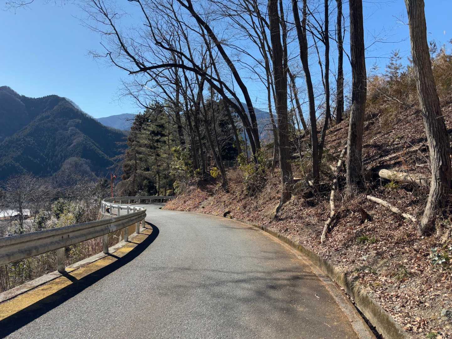 車道を歩きます。