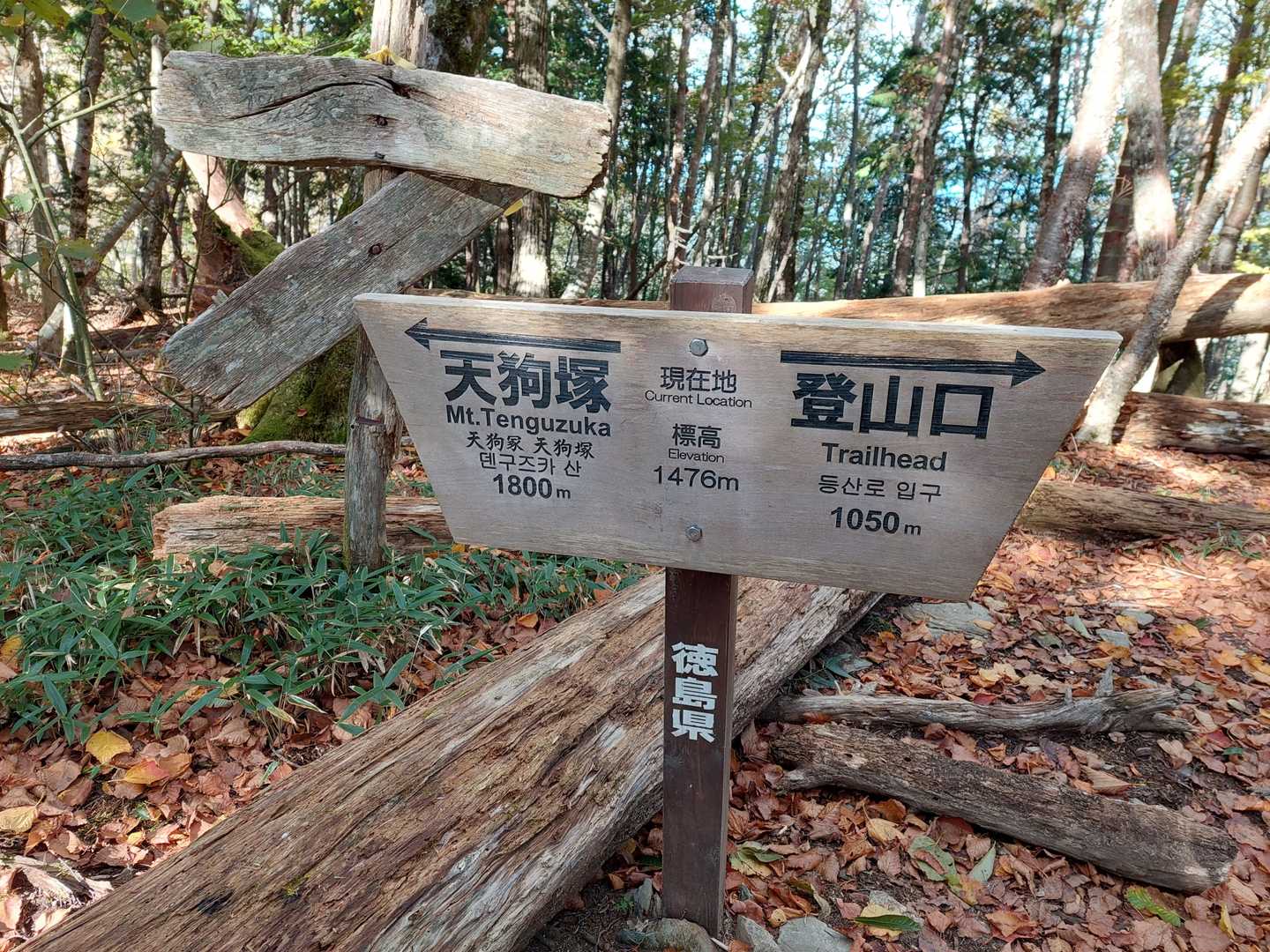 半分弱まで来たよ