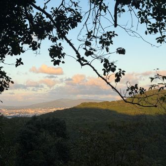 いい感じの夕方〜