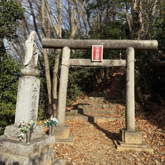 このあたりは神社⛩️だらけ。