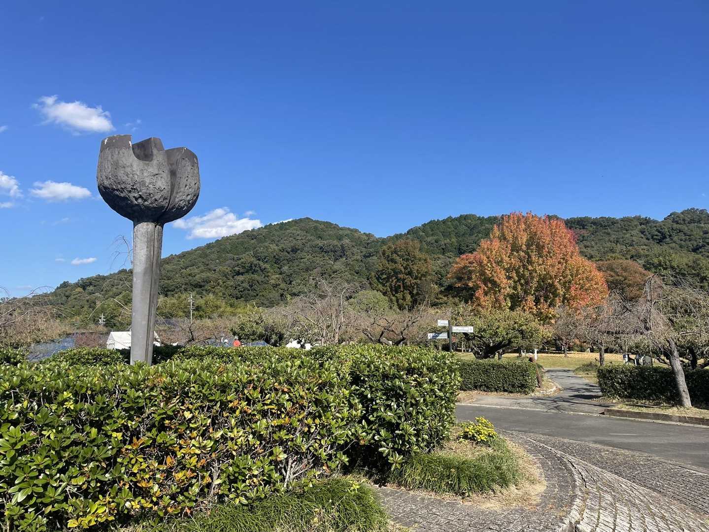 東谷山 往復コースの写真