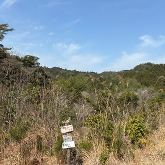 良か天気ですな☀️