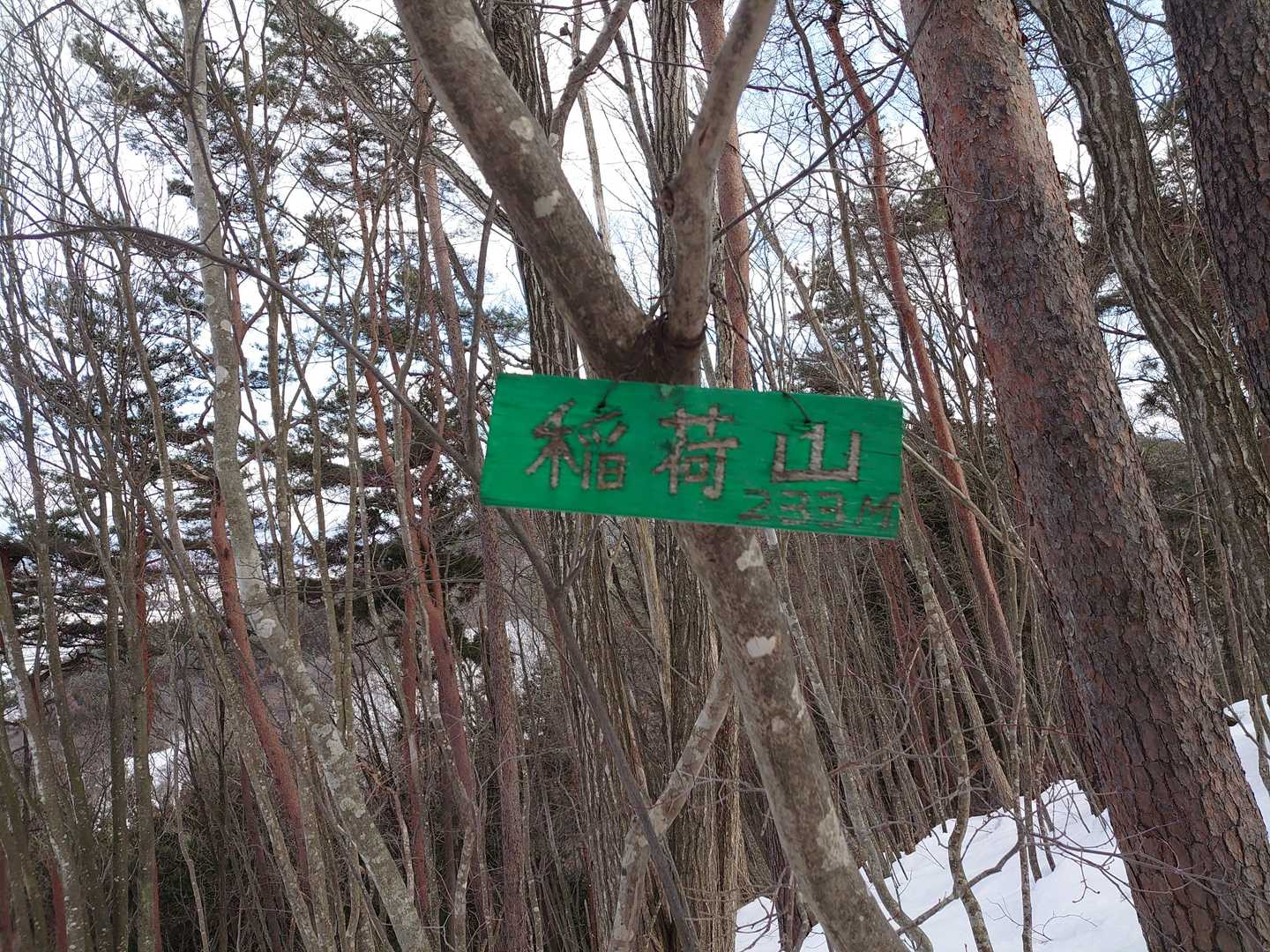 山頂到着❗