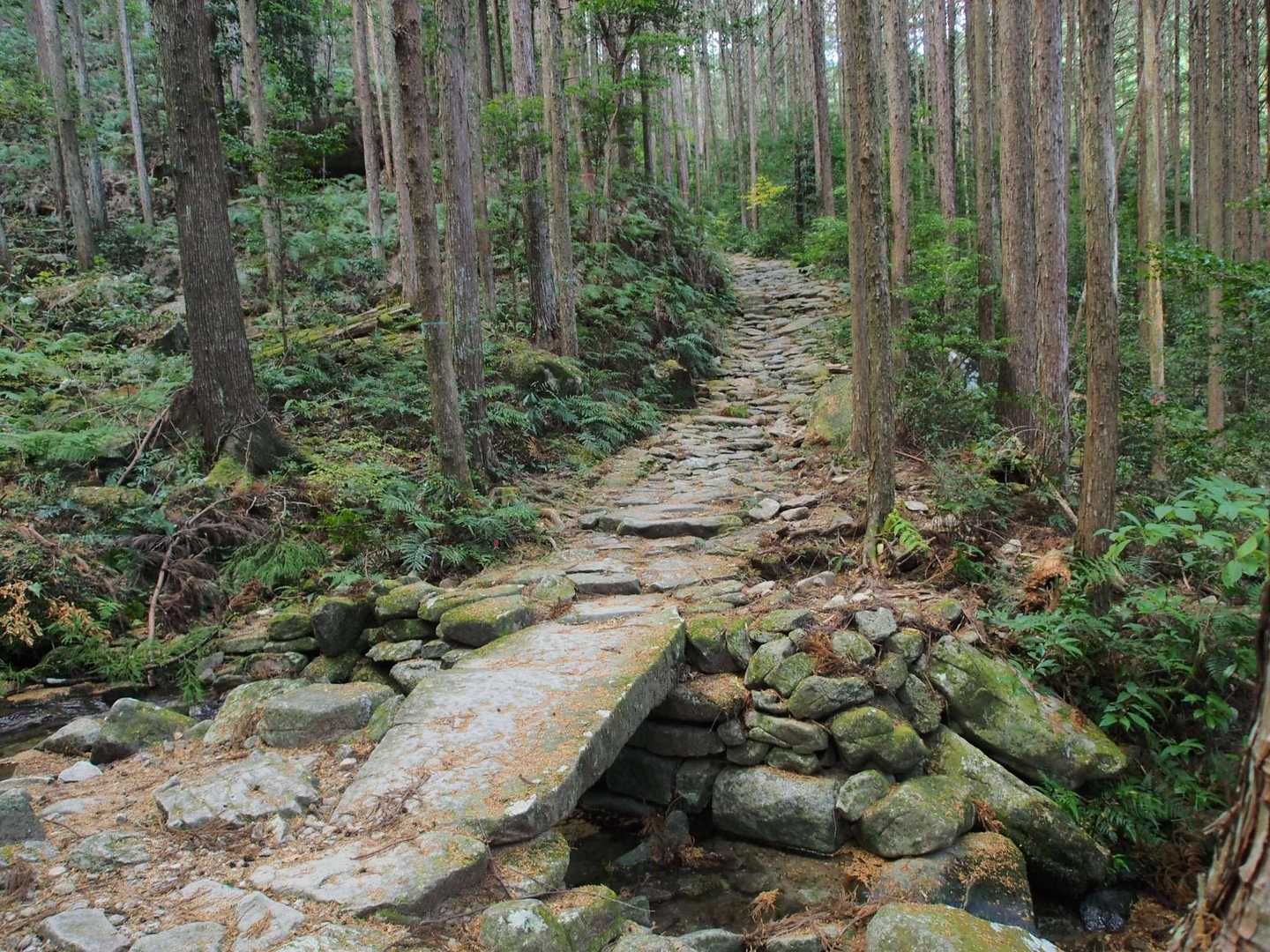 一枚岩の石橋