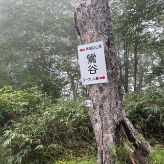 ユーフレ小屋って何だ😕
