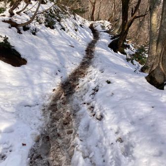 雪が出て来ました⛄️
