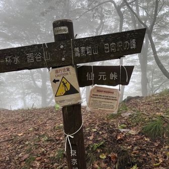 仙元峠へ向かう