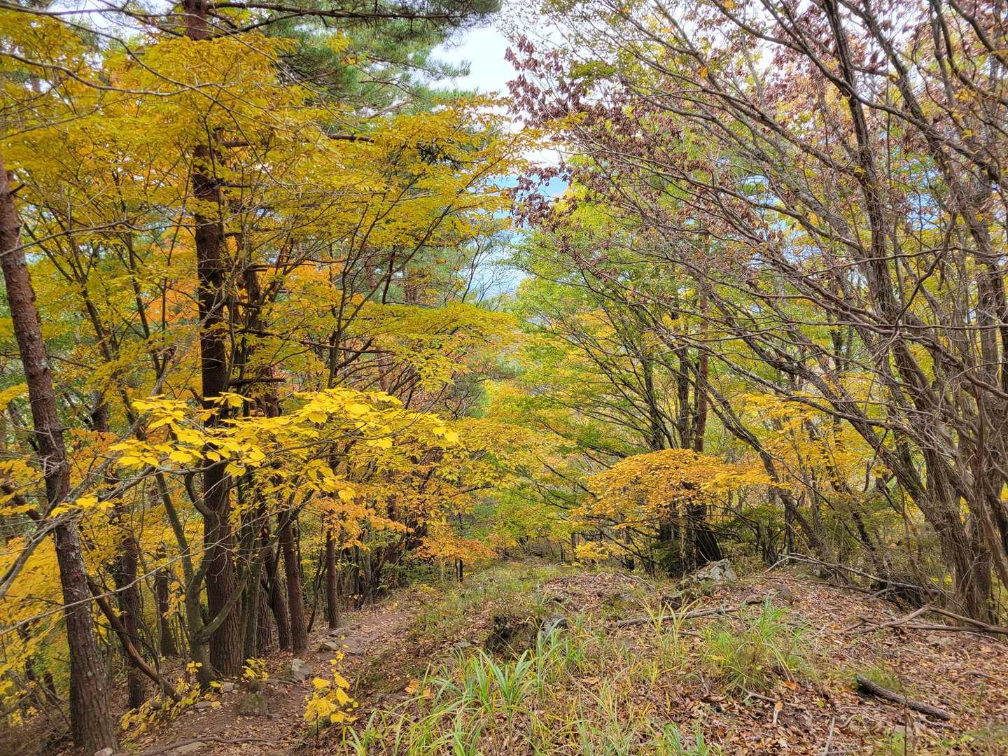 茅ヶ岳周回 | 日本百名山の著者終焉の地は、富士山・南アルプス・八ヶ岳の展望台の写真