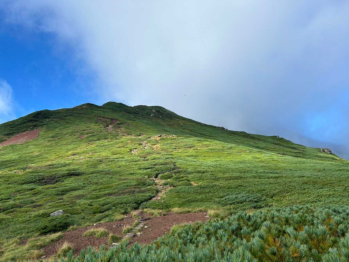 今度は緩やかに登って行きますね⛰️
貧脚に優しい😁