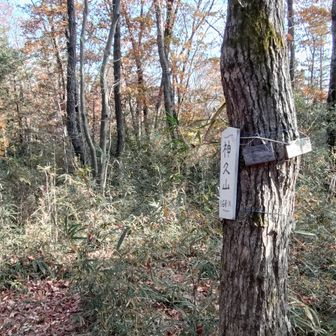 ここも反対側にも道ができてしまった💦