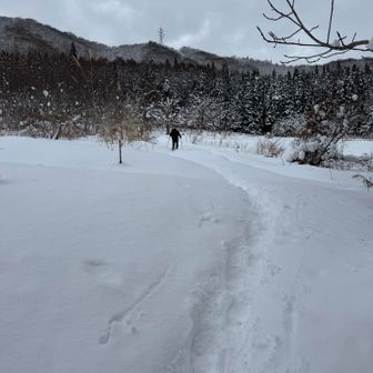 雪原が❄️
道はうっすら凹んでるけど、踏んで行きます
