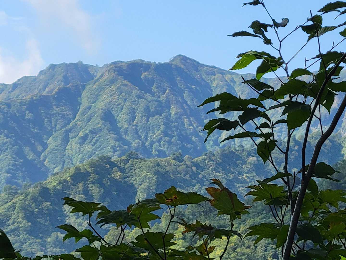 登山開始～2時間を経過してようやく飯豊連峰国見岳🗻がお目見え、