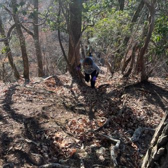 山頂手前も滑りやすい落葉があゆみを遅くする