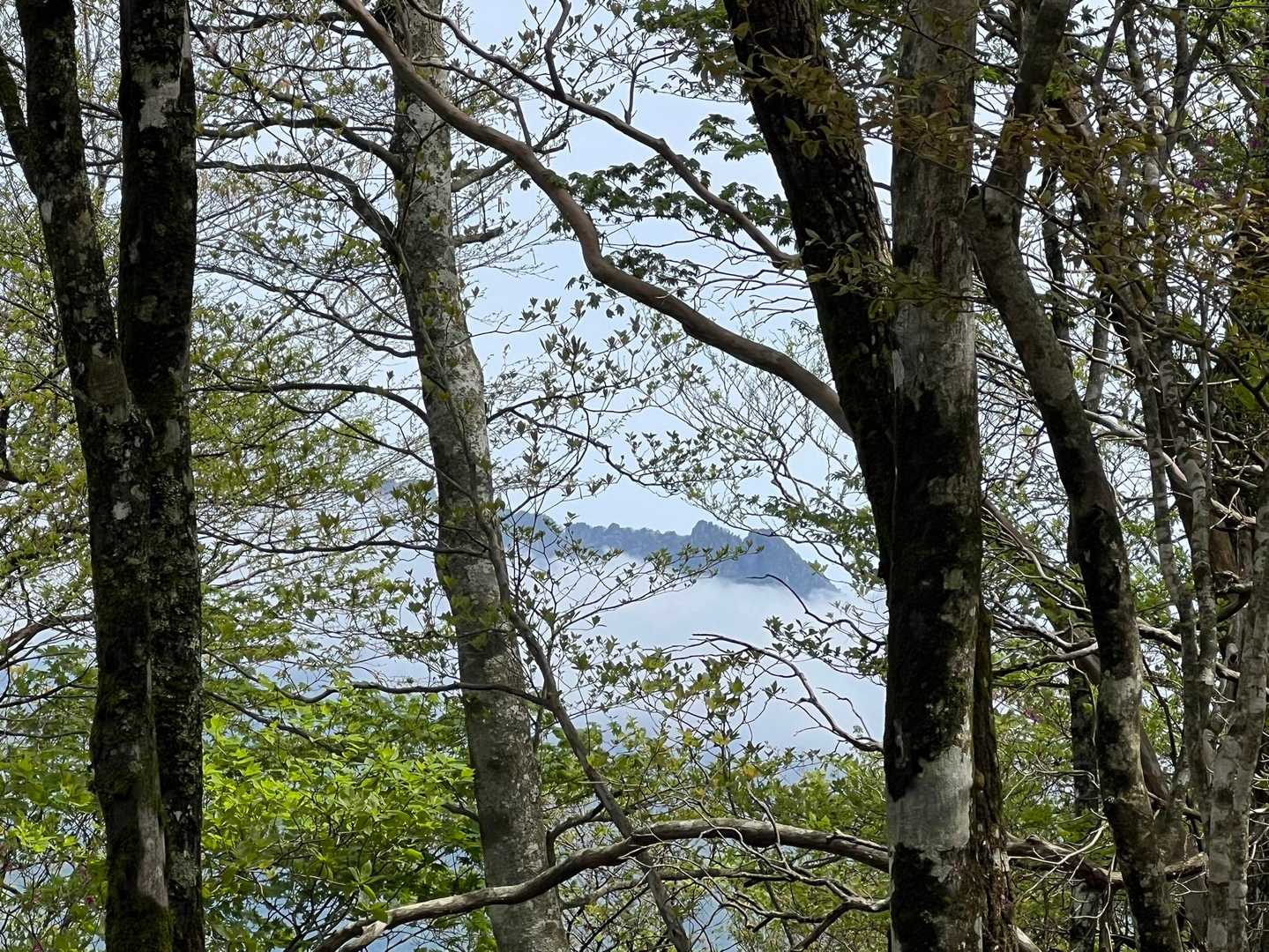 
今日、縦走する予定だった北の山々

ハッスルハスラーに🚲載せてます
