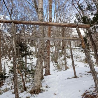 標高1500mにある鳥居。踏み跡を外すと結構嵌る