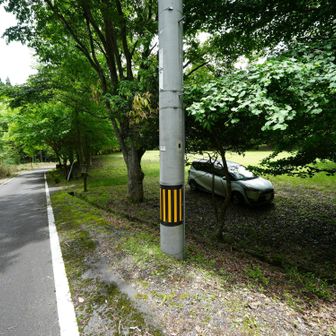 戻ってきた