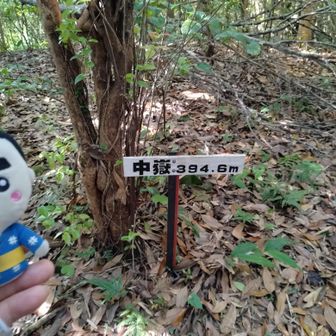 中嶽山頂