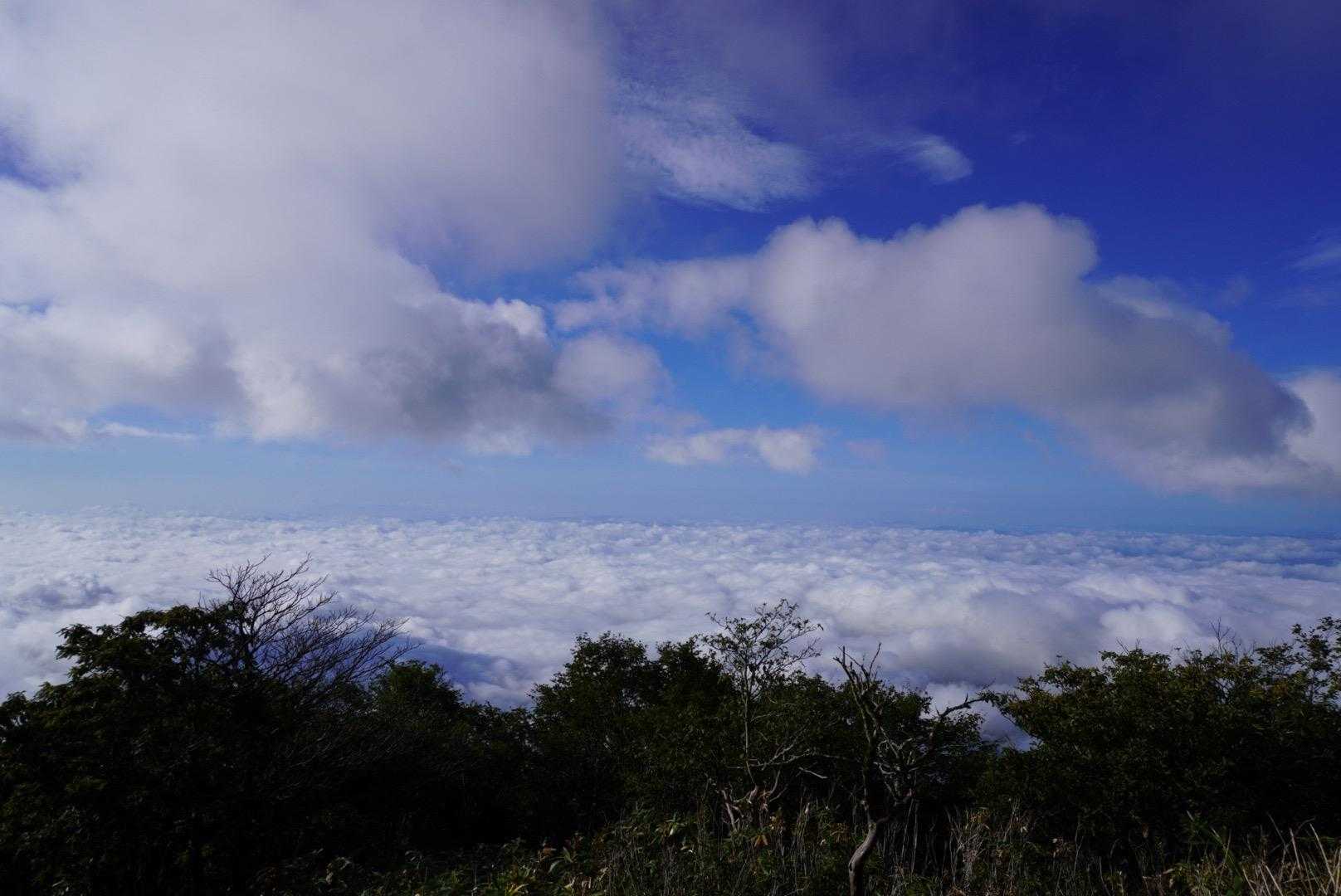 稜線に出ると雲海が見えました︎︎☁✨️
