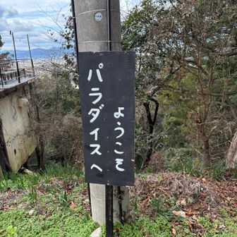 パラダイスでした

一年間ありがとうございました♪
また宜しくお願い致します🙇‍♀️