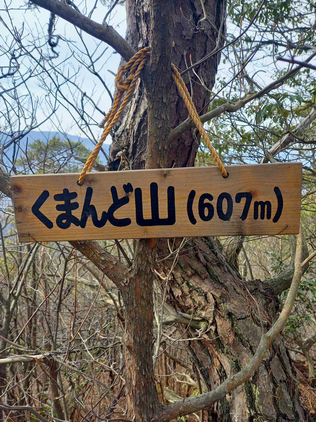標識も。