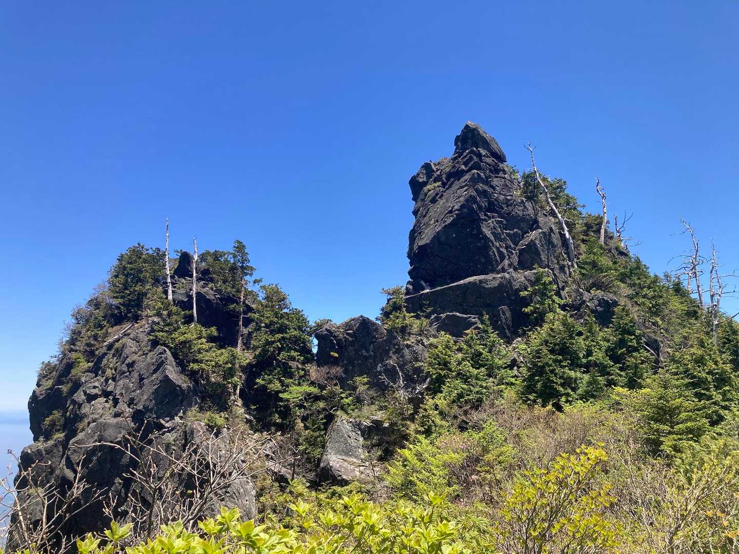 鯛の頭