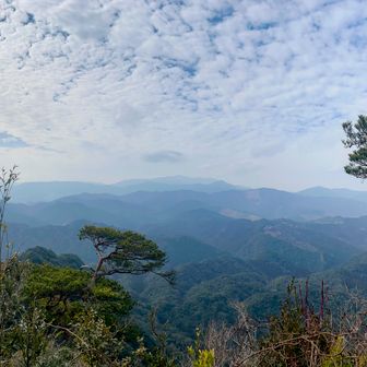 花切山展望所に到着。
今回一番の絶景ポイント。