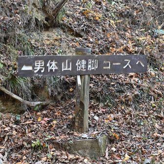 健脚コースだったんだね😅