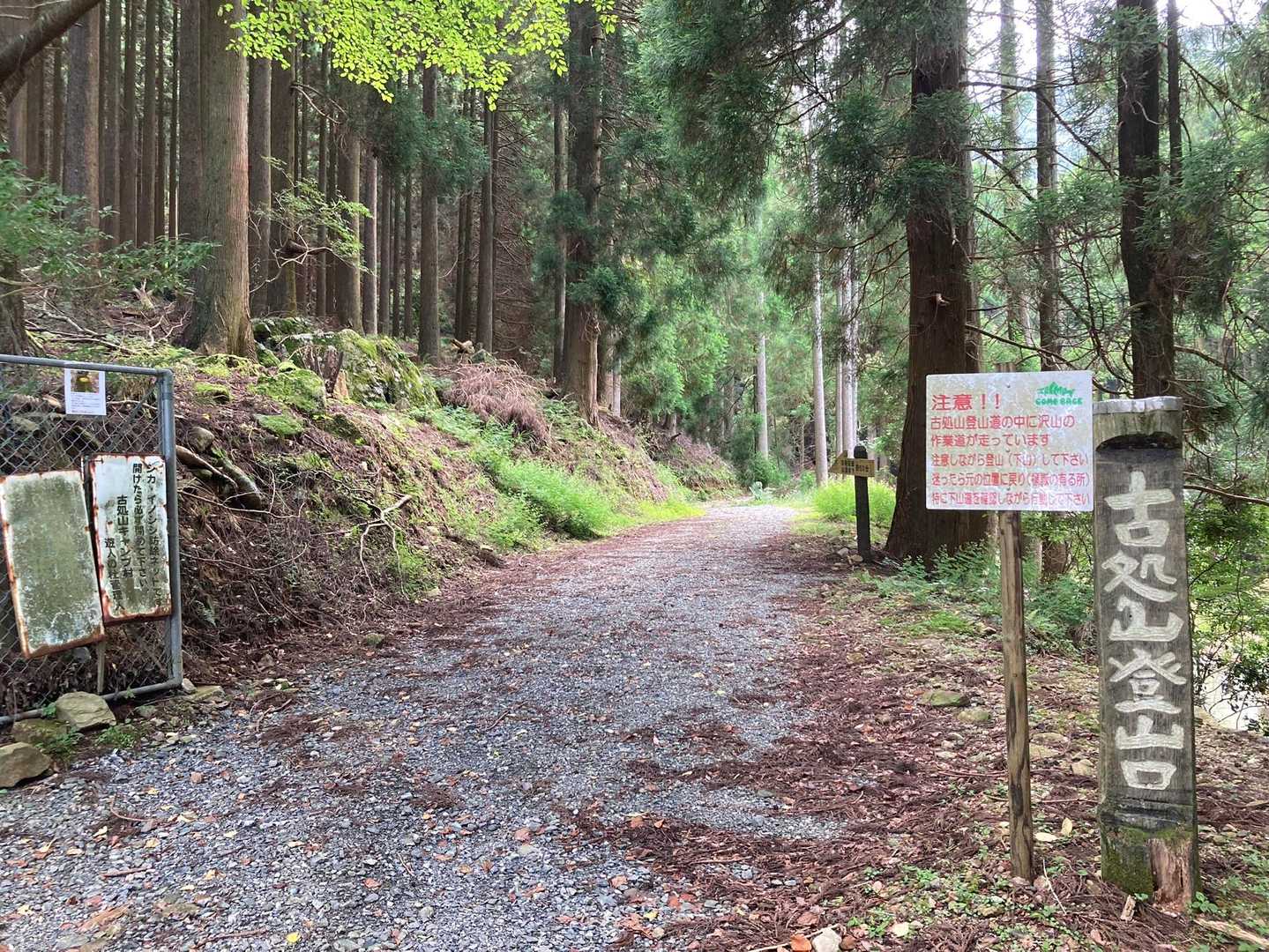 立派な登山口
しばらく作業道を進みます