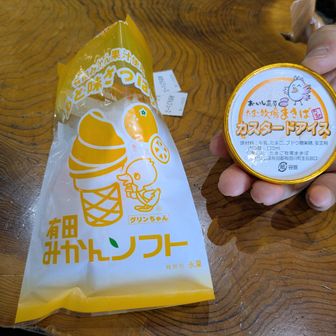和歌山なのでみかんモノを頂く🍊
シャーベット状でさっぱり🍦
おいし高原たまご牧場もあるらしく卵モノも🐣