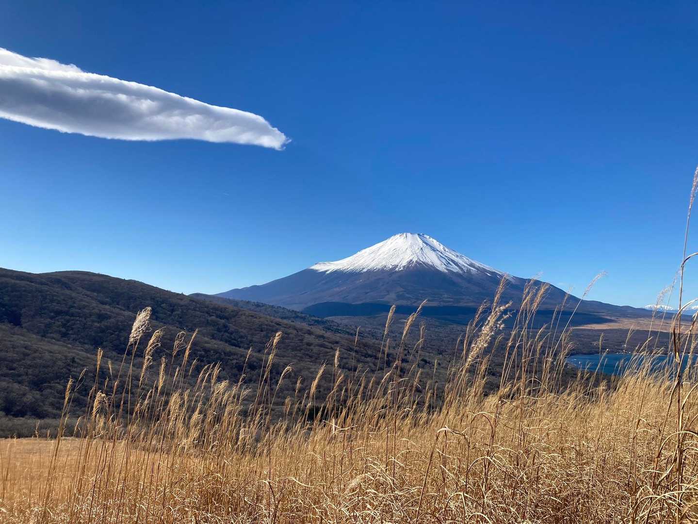 今度は歩く右手に富士山💕