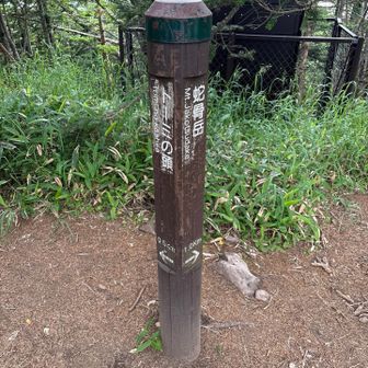 トーミの頭に向かいます